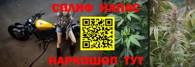 ГАЛЛЮЦИНОГЕННЫЕ ГРИБЫ Вышний Волочёк